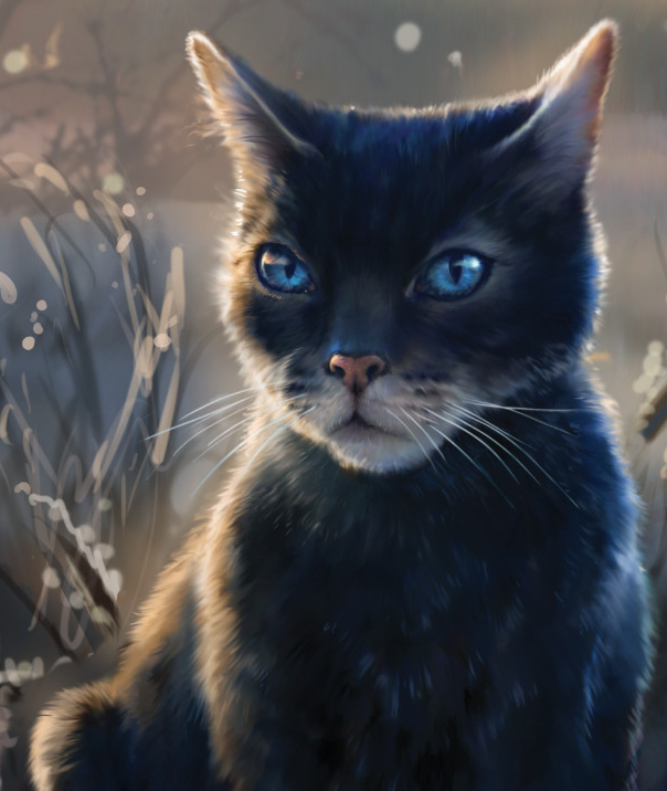 A WindClan cat can't be that attractive. How does he attract so many she-cats? We thought he'd already learn his lesson, having a forbidden romance and all that. When he finally joins our ranks, we are taking him to court.