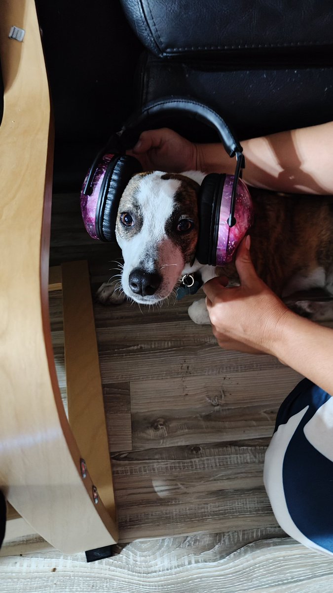 Così si sopportano i fuochi d'artificio 😔