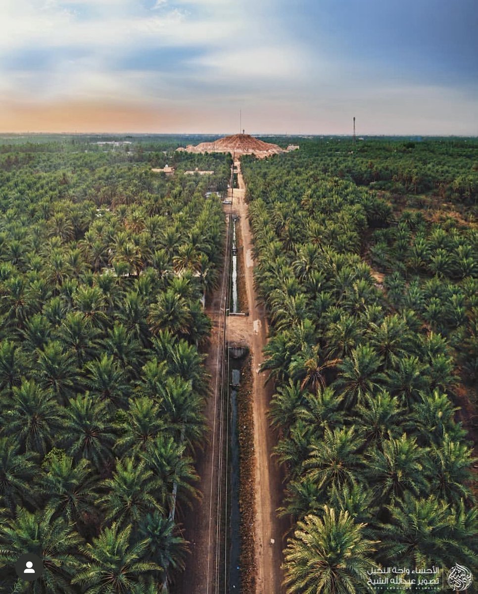 عبدالله الشيخ | Abdullah Alsheikh tweet media