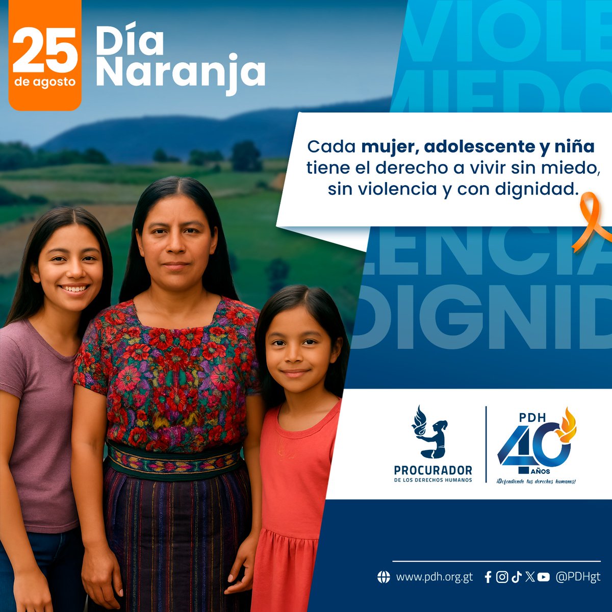 PDHgt's tweet image. 📌25 de Agosto
#DíaNaranja #NoHayExcusa