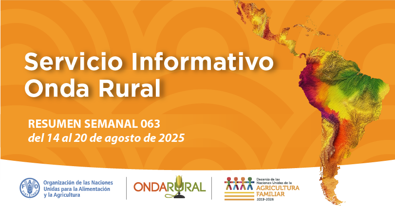 Resumen semanal del Servicio Informativo📰

🔸 #Agroemprendimientos son clave para el "#hambrecero"

🔹Congreso aprobó nueva #LeyAgraria que beneficiará a la agricultura familiar👩‍🌾🧑‍🌾.

🔸La diversidad de #cultivos clave en la seguridad mundial.

👁‍🗨Léelo ➡️ n9.cl/ri4m3x