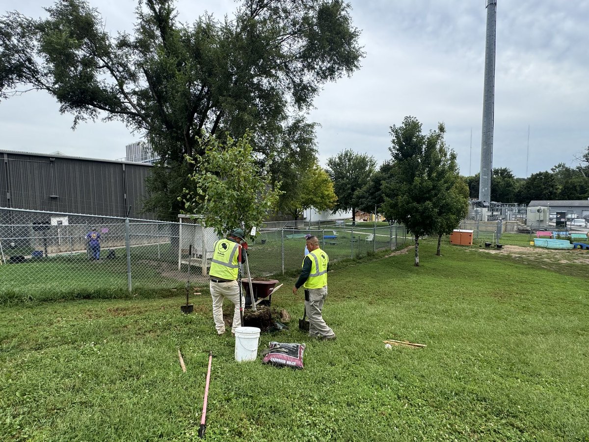 Mulhalls's tweet image. This week we planted a Sunset Maple 🌳 at the Nebraska Humane Society – where it’ll one day shade the pups’ play yard.

Thanks to volunteers like Dan (and inspectors like Goof 🐾) for reminding us what community is all about.

#community #plantmoretrees #adopt