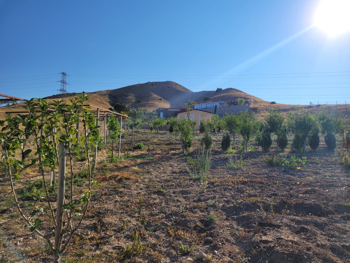 Mustafa Tatcı (@mtatci) on Twitter photo 