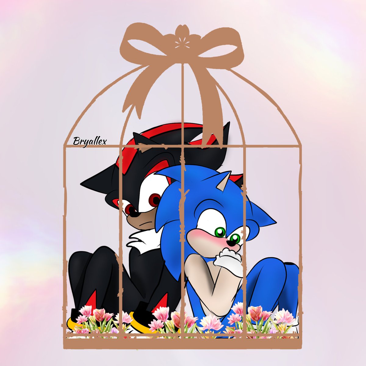 ¿Que les parece? ...
#sonadow #Shadonic