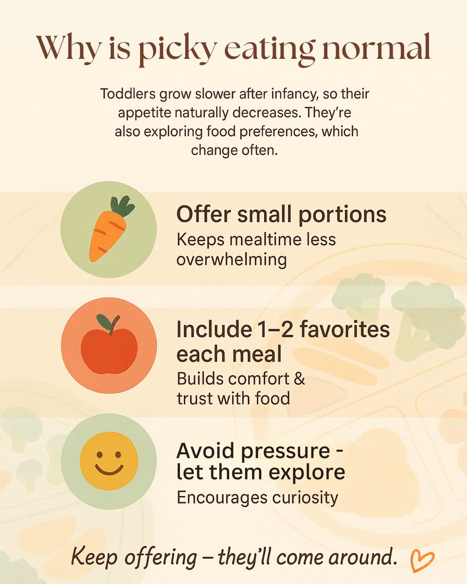 innobaby's tweet photo. You pack a perfect lunch: Nutritious, cut into cute shapes, and well-balanced. But then, it comes home at the end of the day completely untouched, or only one thing is gone. Sound familiar? ⁠

Check out our latest blog for even more picky eater tips 🪄 https://t.co/A8B7g7JNce https://t.co/B8W2hD3DZg
