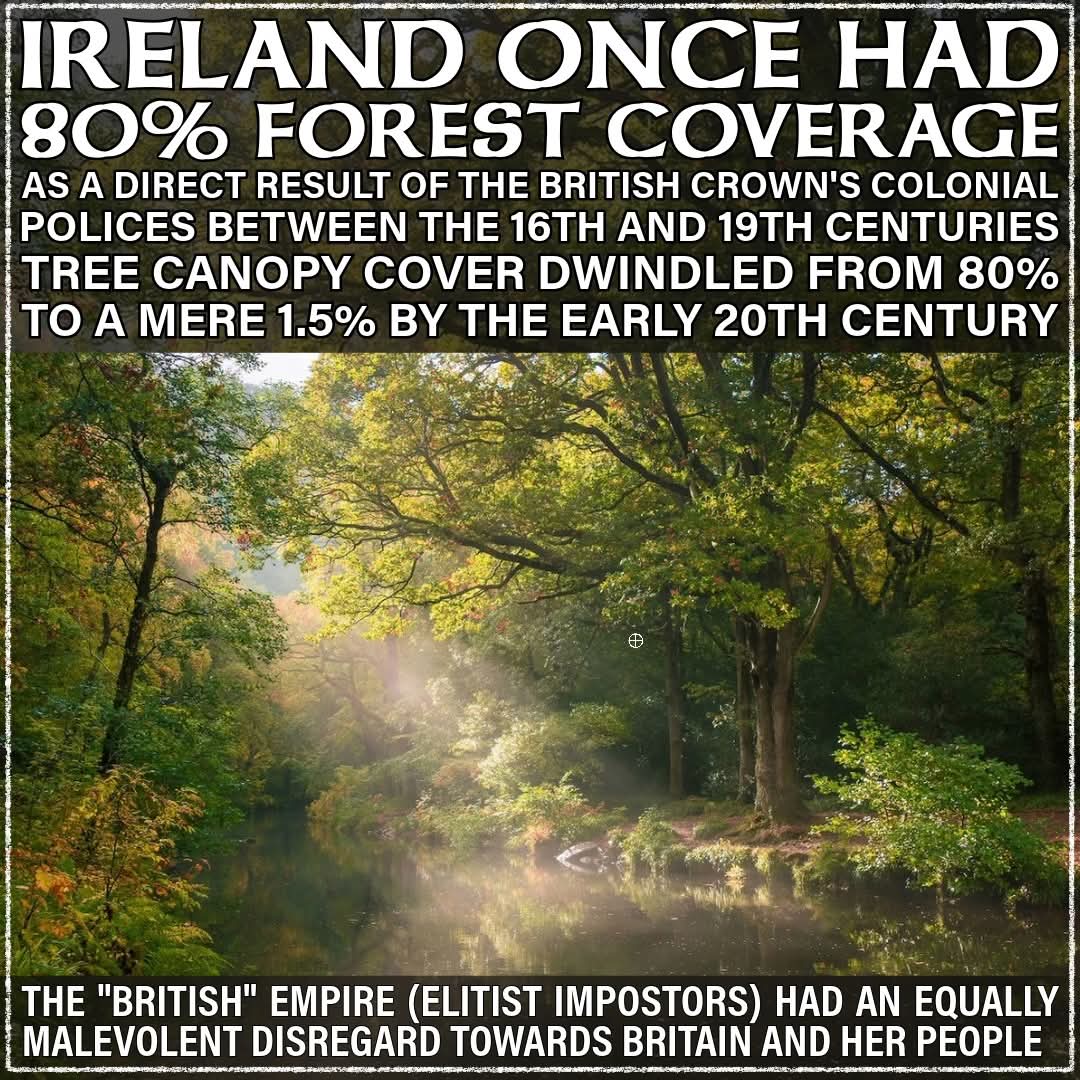 CrockOf_Gold's tweet image. #colonisation #colonization  #Colonizer  #Colonialism #imperalism  #whiteprivilege #nomorewhiteguilt  #Kalergiplan #thegreatreplacement  #ReplacementOfWhiteAmericans #replacementmigration  #whitegenocide #privilege #scapegoating  #gaslighting