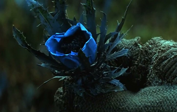 Çakay (@cakayborz) on Twitter photo 