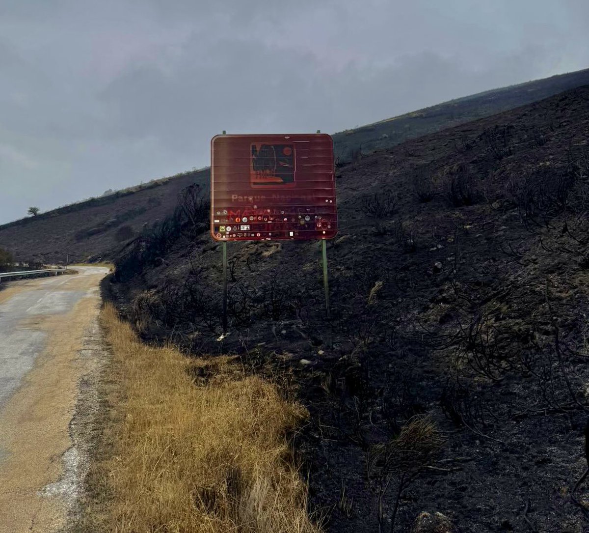 BorjaBarba's tweet photo. Acceso al Parque Nacional por el Puerto de Pandetrave (#Leonesp). 
La desolación. El horror. 
(📸 Montse Pérez) https://t.co/jSLJOzfNEi
