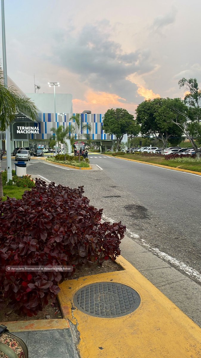 Sería una locura verdad?