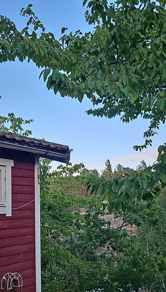 Hanelmax's tweet image. Vackra östkusten! 🇸🇪