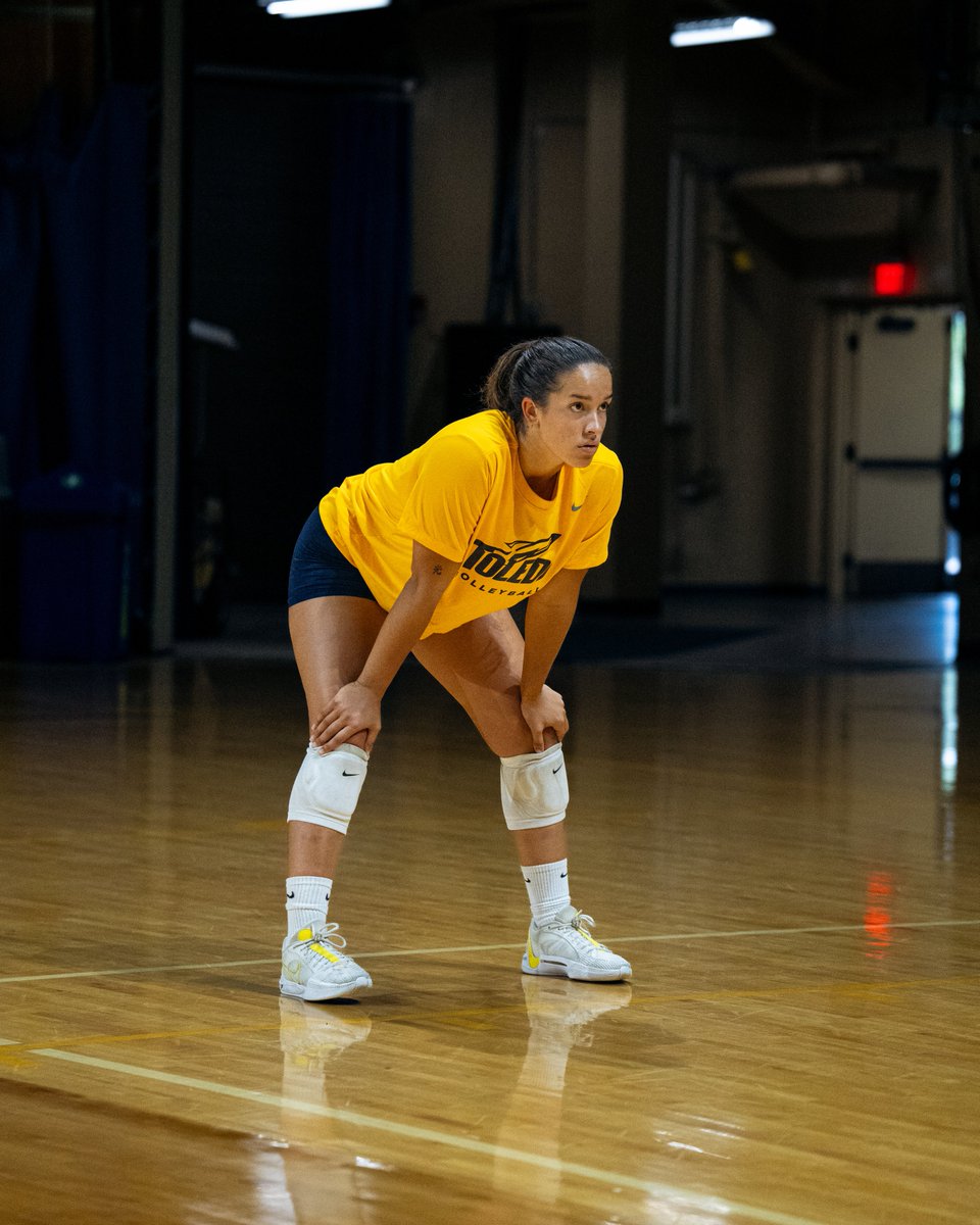 Toledo Volleyball tweet media