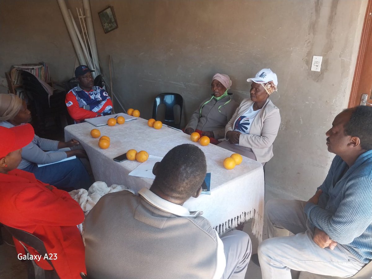 United Africans Transformation tweet media