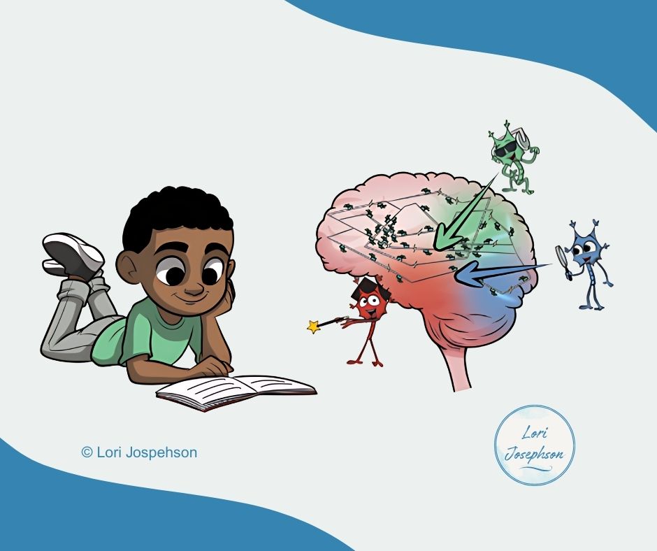 📚 Did you know?

The brain wasn’t built to read—it rewires itself, recruiting pathways for speech, language, hearing, and vision to link sound, symbol, and meaning. That’s why explicit instruction is essential for every learner.

#ScienceOfReading #LiteracyMatters
