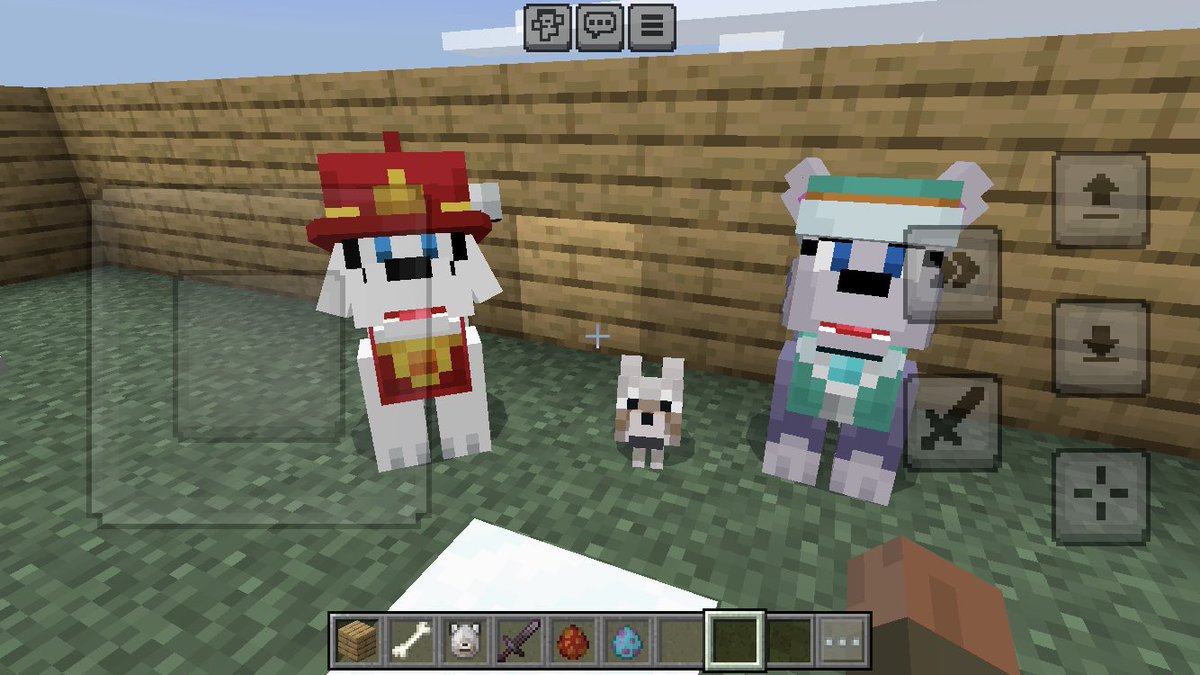 Paw Patrol Everest and Paw patrol  Marshall become parents😊❤️family