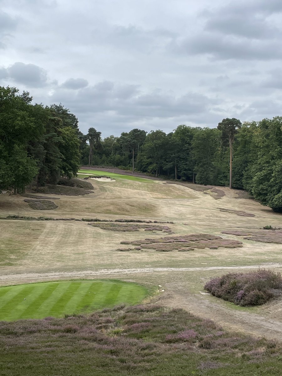 Hawksian tweet media