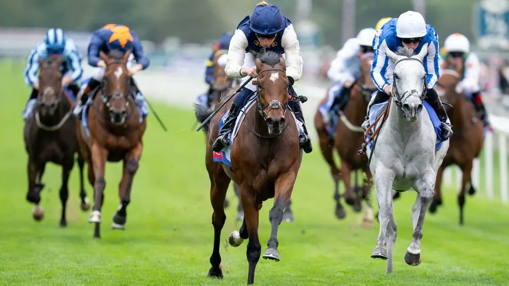 ✨ Lowther queen Royal Fixation provides Palace Pier with first Group winner 

Read more here 👉 bit.ly/4msVfx7