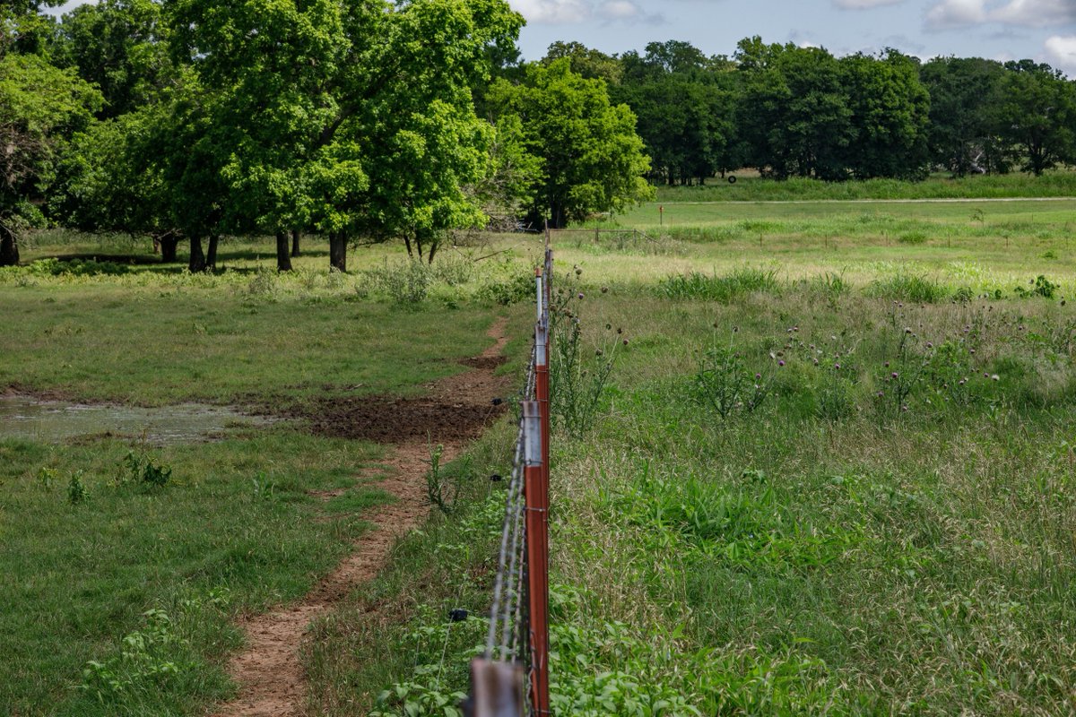 Your land has erosion, overgrowth, bare soil and poor forage. How can you improve these conditions on your ranch? 

Grazing management.  

Join us at Noble Grazing Essentials to learn how to use your livestock as a tool.

Ardmore, OK | Sept. 3-5. 
noble.org/noble-grazing-…