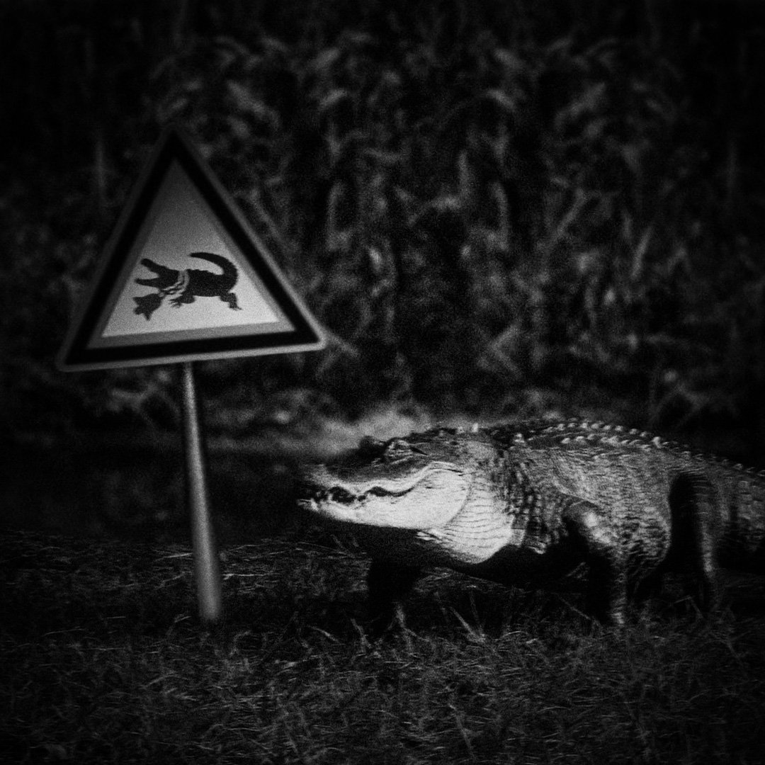 blamevdea's tweet photo. Summer just got dangerous, baby.

#dangeroussummer #yeat #album #hiphop #rap https://t.co/3Y48gtk7S4
