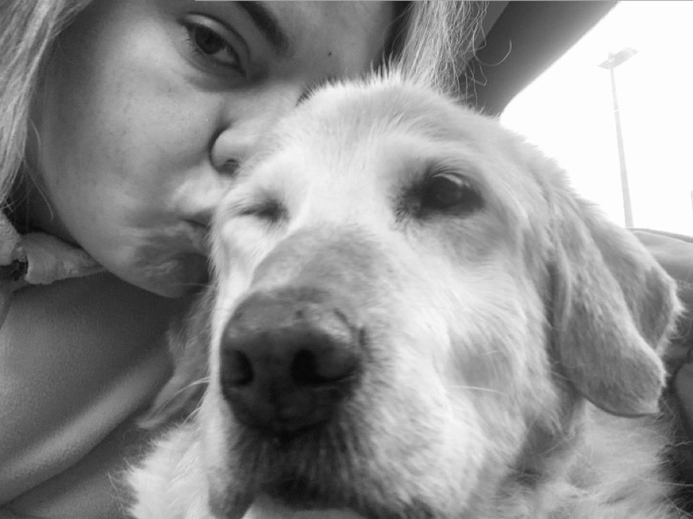 Aimie ♡ tweet media