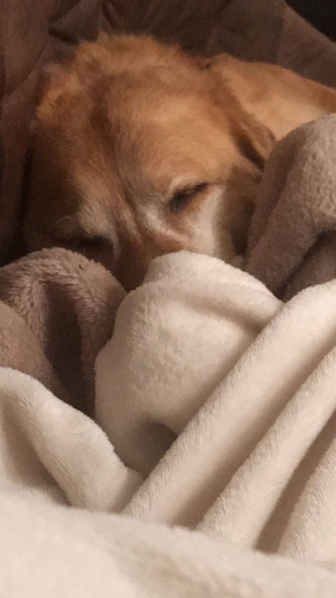 Aimie ♡ tweet media