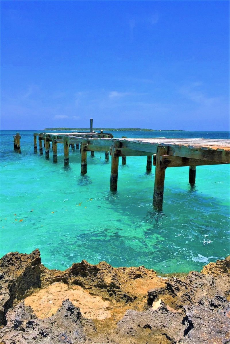 ruby_willi7143's tweet image. The Bahamas-Atlantic Ocean.