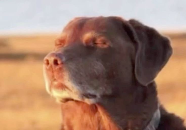 Güncelde aklınızdaki kişinin sizden tamamen uzaklaştığını ya da aranızdaki bağın tamamen koptuğunu hissedenler özellikle bu sessizliği merak edenler için kollektif şarkılı okuma yapacağım iz bırakın
