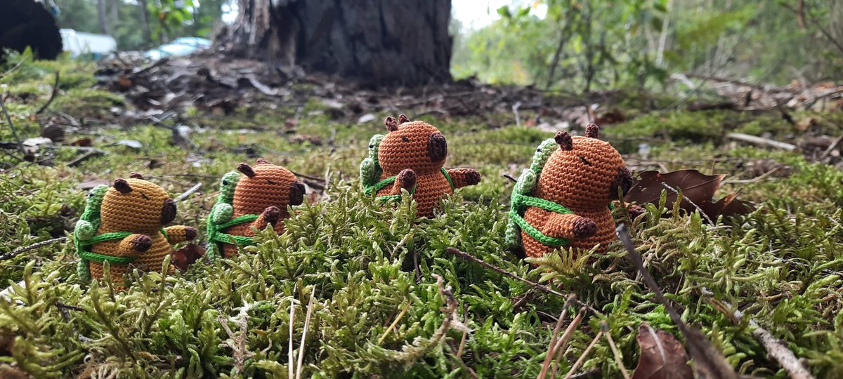 Sven Hilbrants tweet media