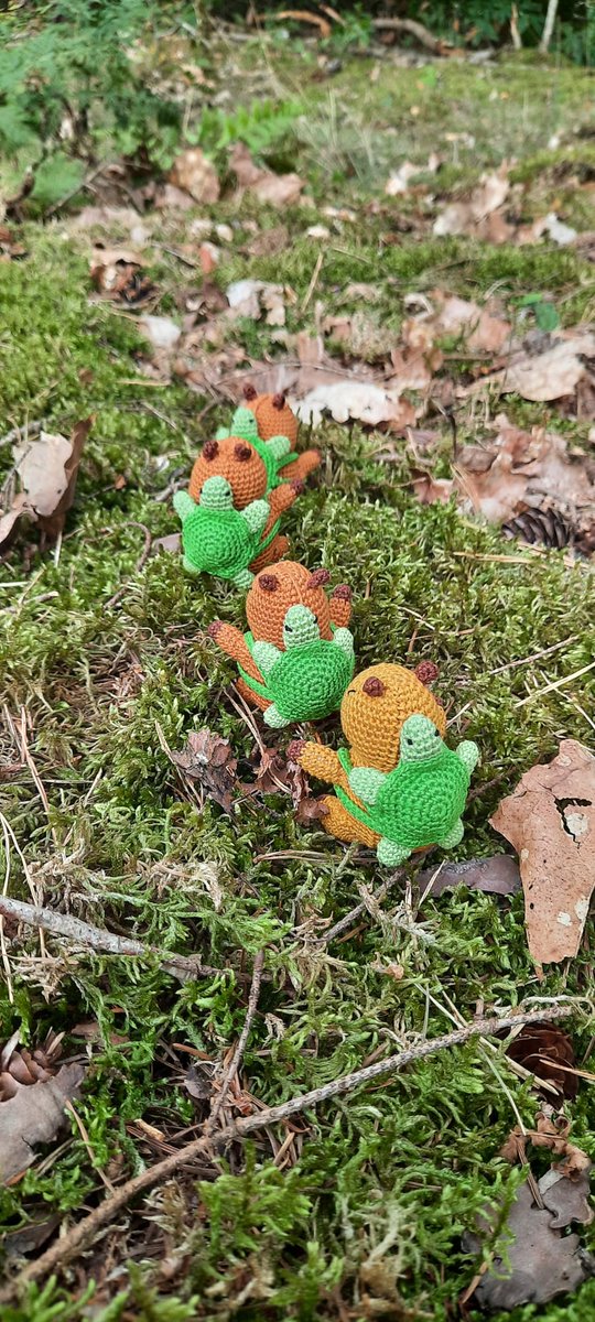 Sven Hilbrants tweet media