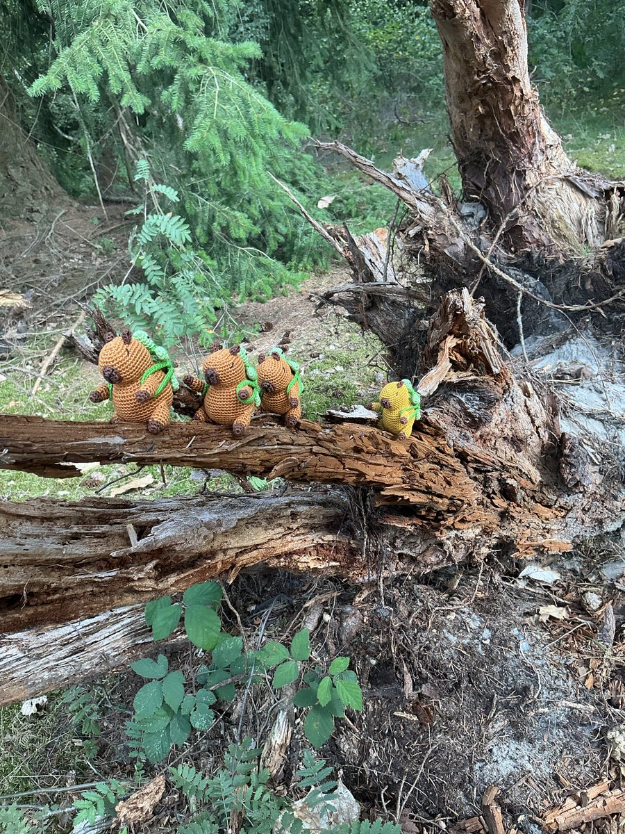 Sven Hilbrants tweet media