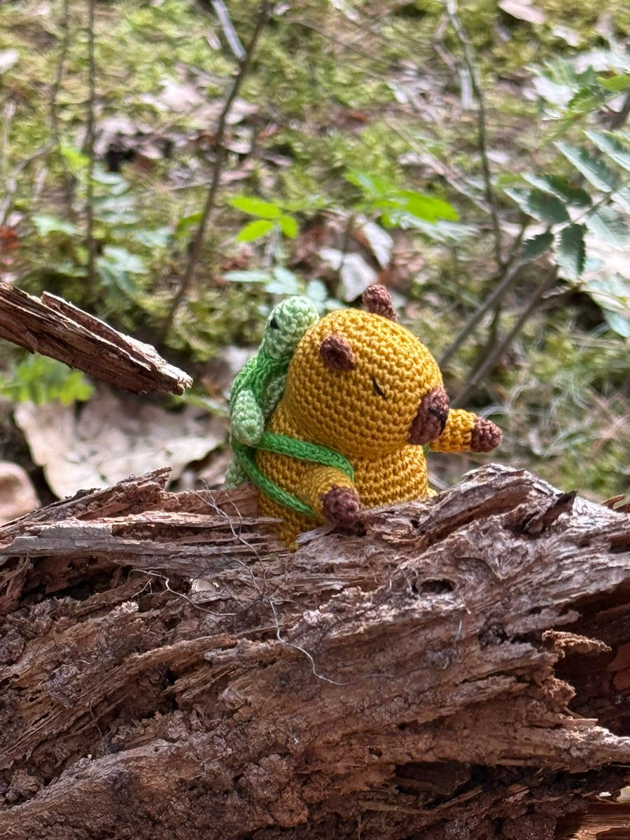 Sven Hilbrants tweet media