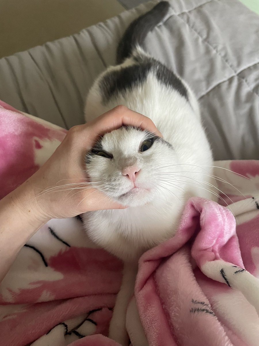 ear jailed for crimes of biting me while I'm sleeping because she wants breakfast