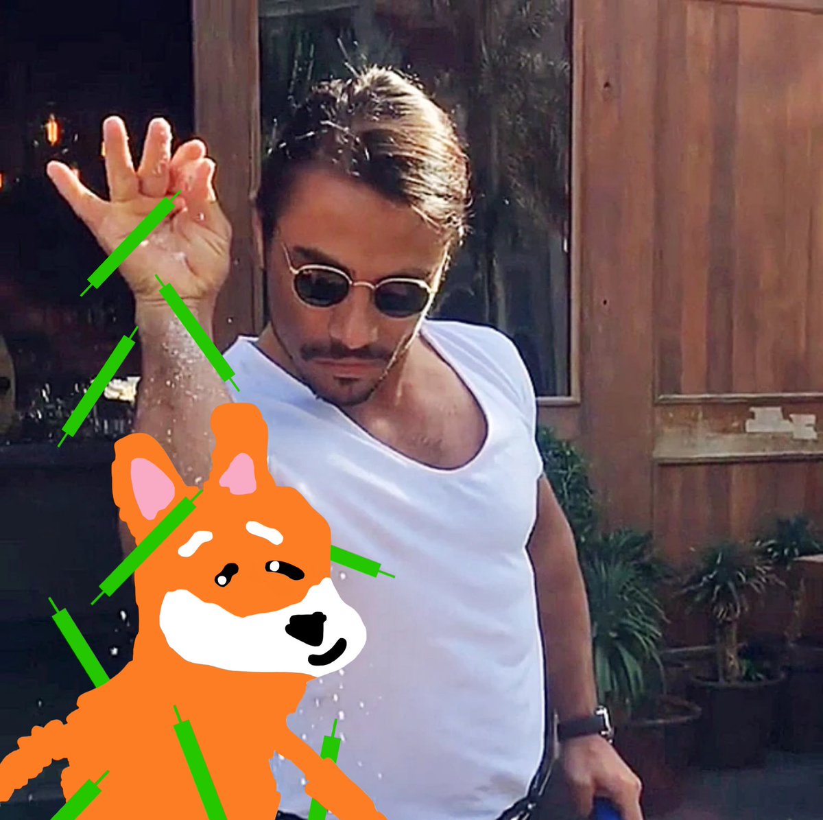 BeanMoney3000's tweet photo. @justastupidinu https://t.co/xeAlmLErpP