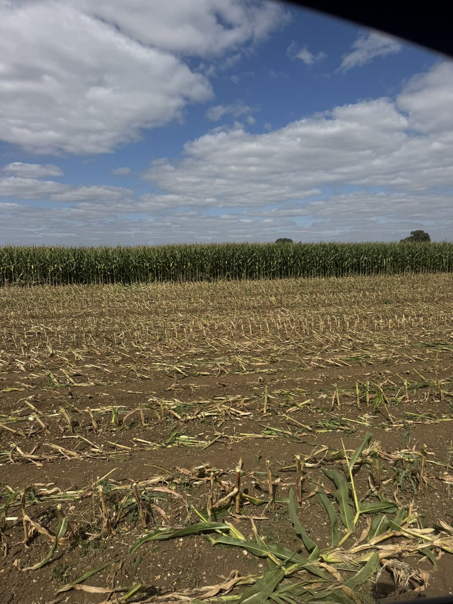 Here we go again. Only 6 weeks early