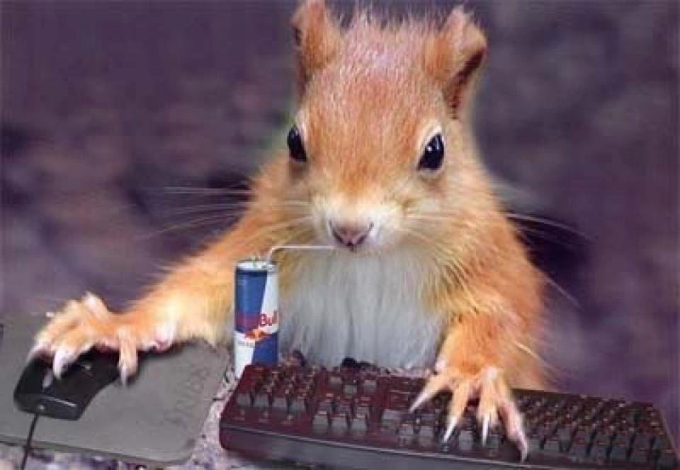 t-minus 2 weeks until every gamer you know goes dark for 3 business days