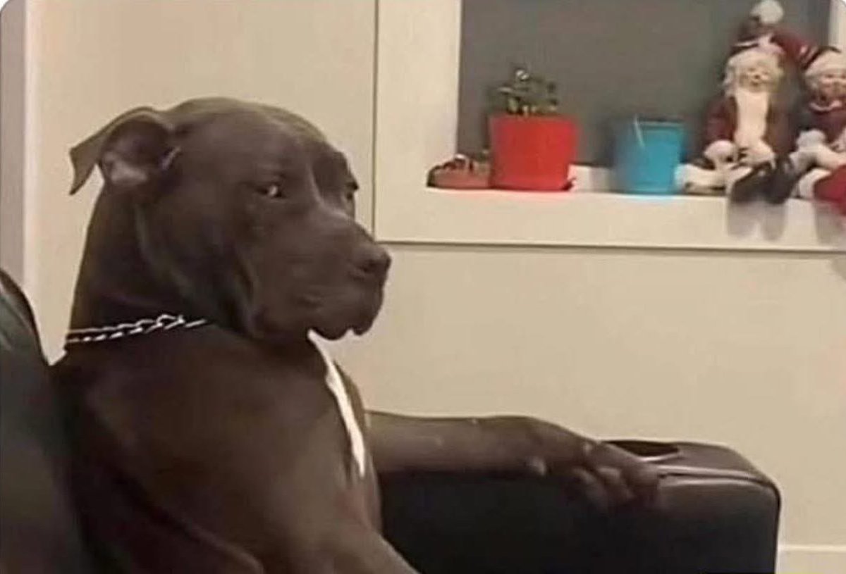 QUAND TA MEUF TE RACONTE SES PROBLÈMES , ET TU RÉALISES QU’EN FAIT… C’ ELLE LE PROBLÈME .