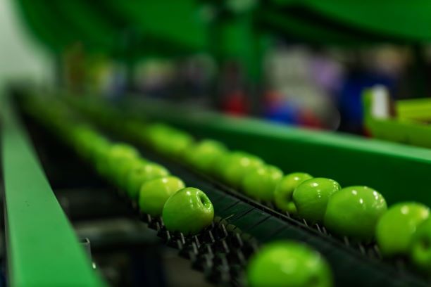 Calling all food manufacturers! Help shape the future of #FoodInnovation + #Sustainability.
Take part in <a href="/DalFood/">ex</a>’s survey on plant science innovations &amp; food loss/waste. Your insights matter! 
Take the survey here: uoguelph.eu.qualtrics.com/jfe/form/SV_8w…
Deadline: Sept 30, 2025
#CdnAg