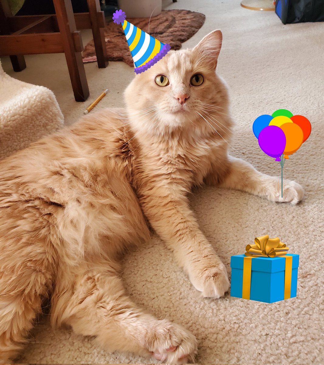 tatertot🧡 aragorn💙 crowley 💜 tweet media