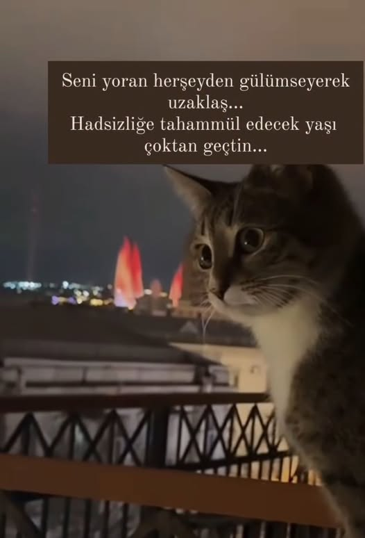 alp (@alp_all) on Twitter photo 