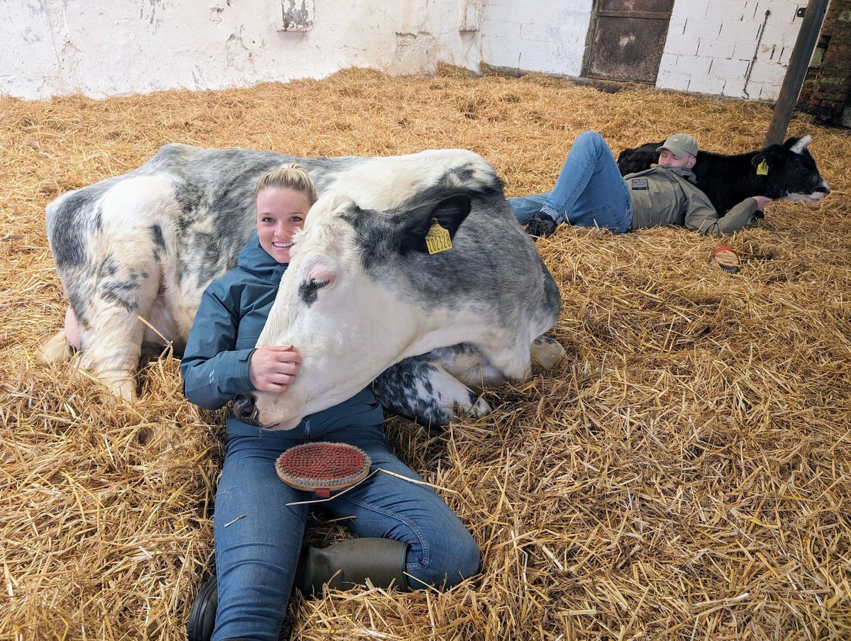 VisitEnglandBiz tweet media