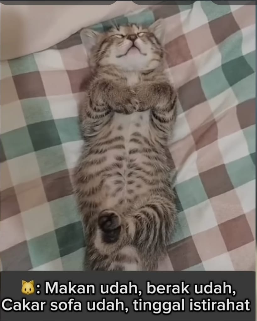 wah meng nyama sekalee😂