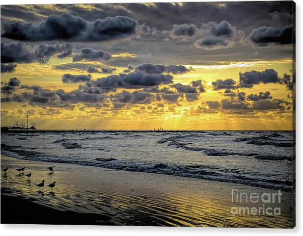 “Dance when the sun comes up.” 
- A.D. Posey

The Quiet In My Soul Framed Print
#buyart #galvestontx #stormysunrise #beachvibes #colorsmakelifespecial #travelphotography #morningcoffee #background #dmsfineart #dianamarysharpton #fineartamerica #fineart4sale #walldecor