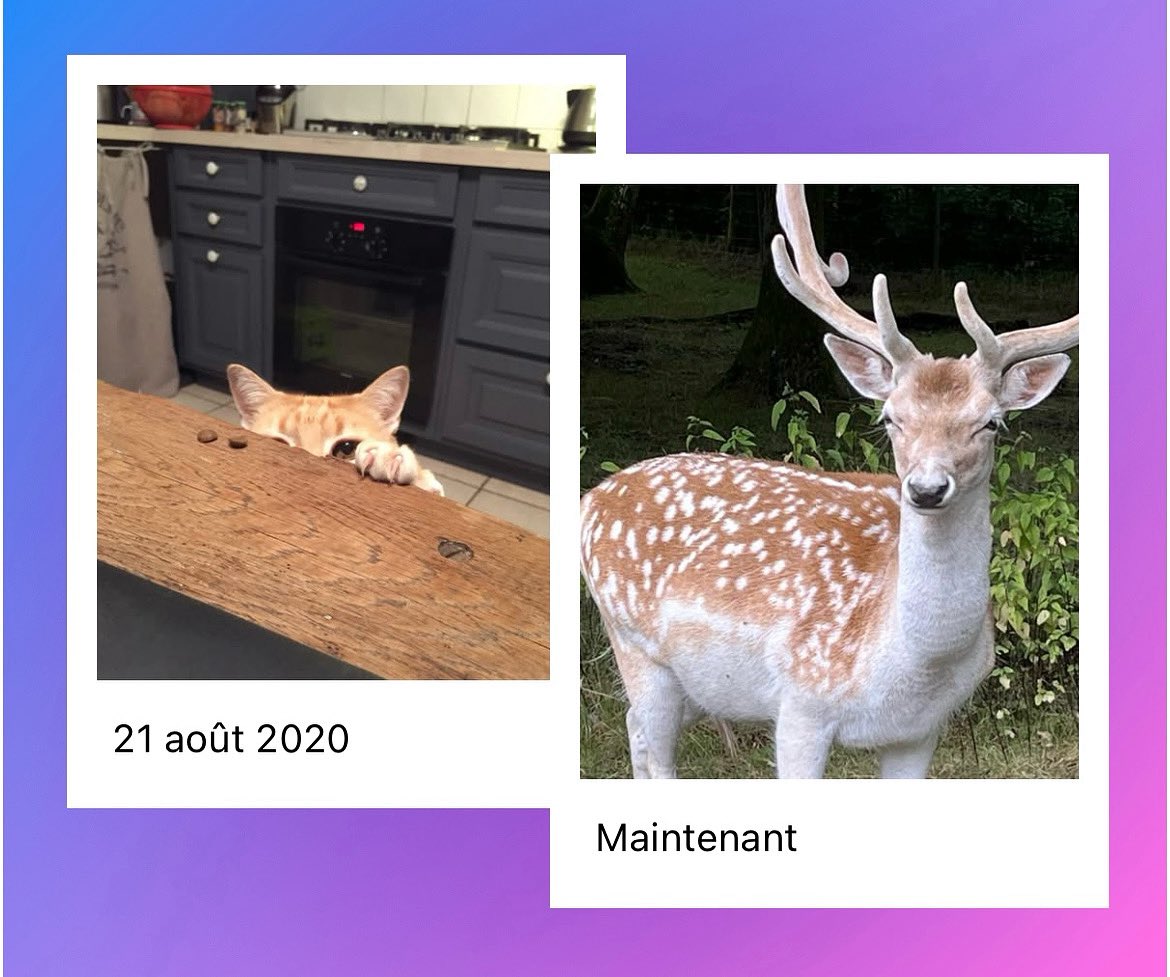 HÉLAYEL Catherine tweet media