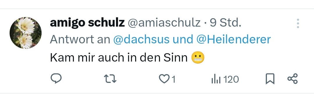 Die Ausländer sind auch an dem Scheiß noch schuld, insofern sie meine komplett geisteskranken rassistischen Reflexe getriggert haben.