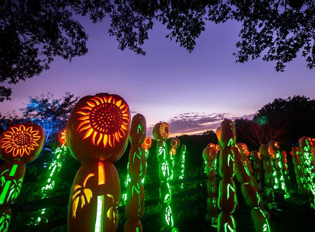 ilovehaunts's tweet photo. It wouldn't be the #Halloween season without #jackolanterns, and we can't wait to see the thousands on display at gems like The Great Jack O'Lantern Blaze on Long Island!

https://t.co/jAAyuXsoYz https://t.co/l6DvQ7tkdT