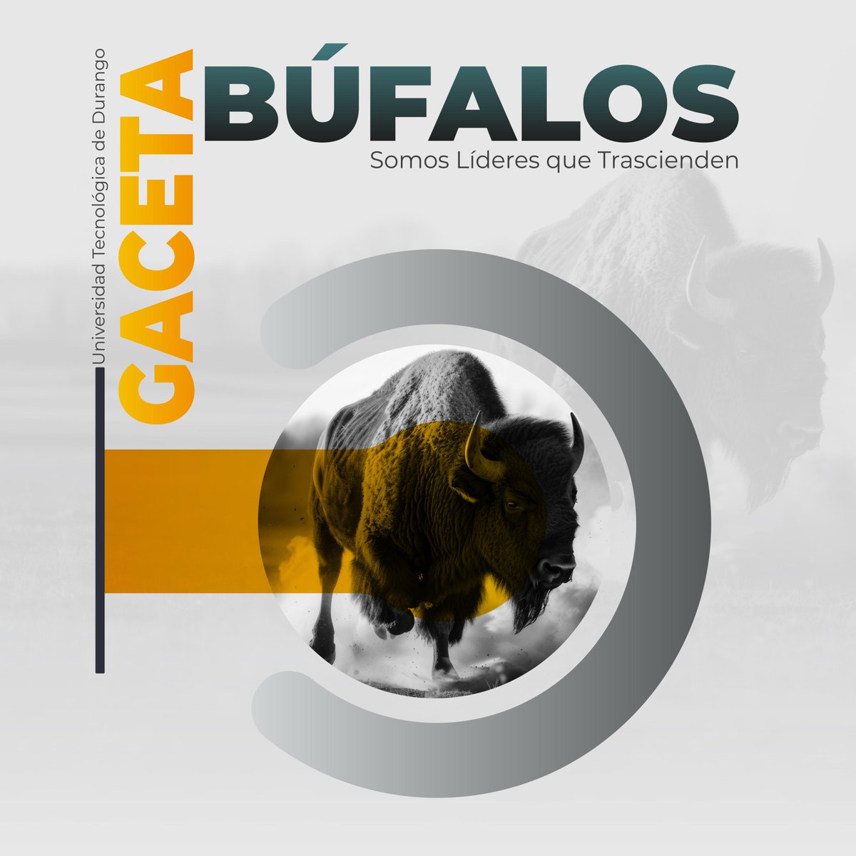 ¡Nace la Gaceta UTD!
Un espacio para compartir logros, proyectos y actividades académicas, científicas, culturales, deportivas y más .
¡Ser UTD es motivo de orgullo y pertenencia!
 Somos líderes que trascienden. ✨
👉 heyzine.com/flip-book/3023…
#UTD #GacetaUTD #OrgulloUniversitario