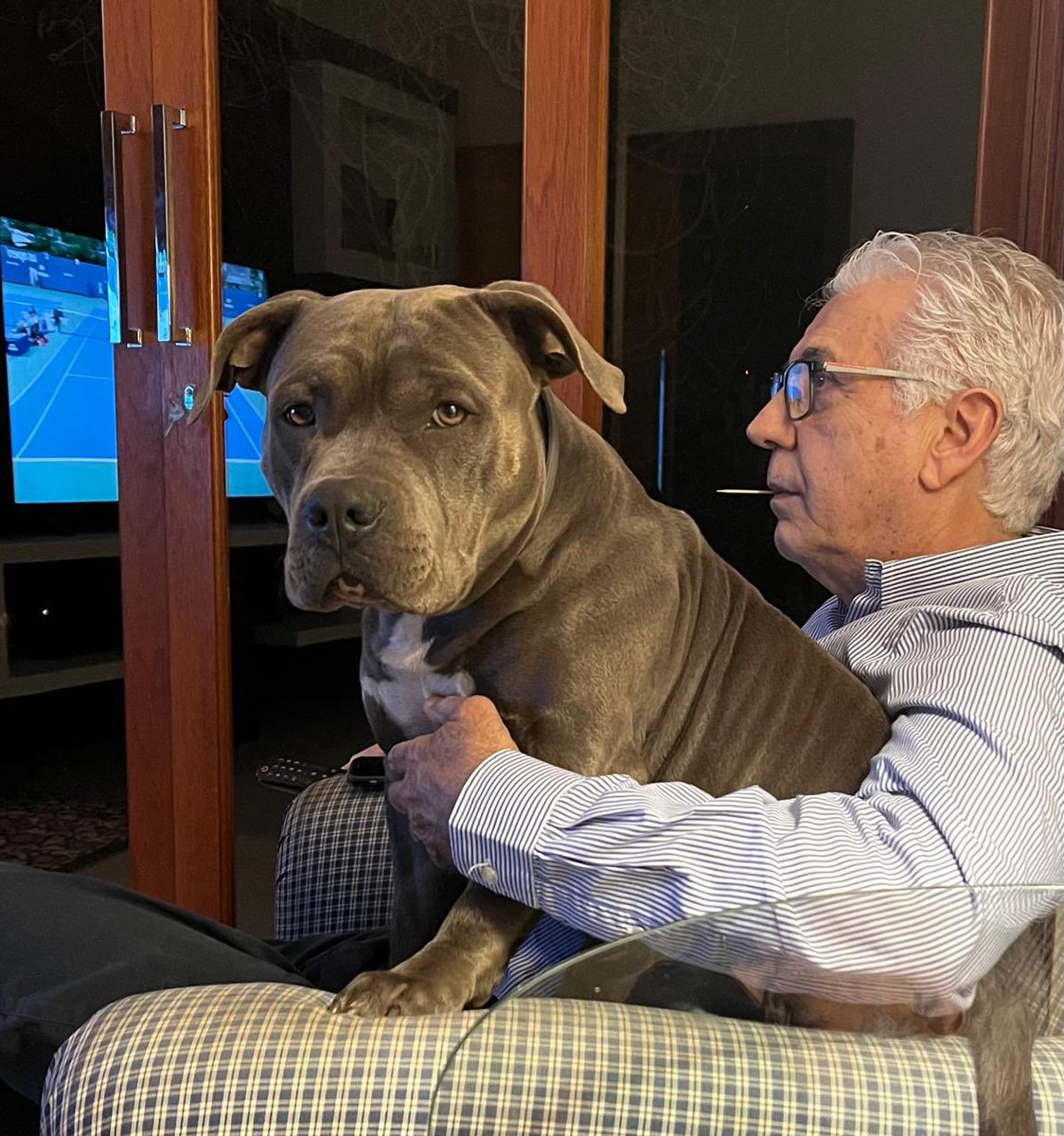 o Benzo no colo do meu pai enquanto ele assiste tenis…. 😩