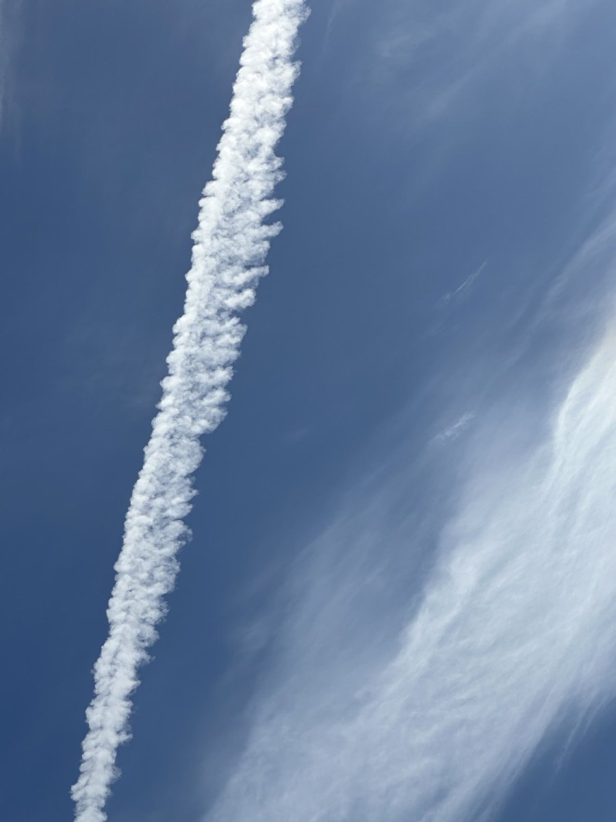E-Marie (@fiddlestix007) on Twitter photo <a href="/GavinNewsom/">Gavin Newsom</a> —>
Make them stop spraying us!!! 😡
8/21/2025
Los Angeles
Orange County
Toxic Air Pollution ☠️
<a href="/EPA/">U.S. EPA</a> <a href="/POTUS/">President Donald J. Trump</a> <a href="/SusieWiles/">Susie Wiles</a> <a href="/AGPamBondi/">Attorney General Pamela Bondi</a> <a href="/DOGE/">Department of Government Efficiency</a> <a href="/elonmusk/">Elon Musk</a> <a href="/DARPA/">DARPA</a> <a href="/HHSGov/">HHS.gov</a> <a href="/RobertKennedyJr/">Robert F. Kennedy Jr</a> <a href="/ChildrensHD/">Children’s Health Defense</a> <a href="/GavinNewsom/">Gavin Newsom</a> —>
Make them stop spraying us!!! 😡
8/21/2025
Los Angeles
Orange County
Toxic Air Pollution ☠️
<a href="/EPA/">U.S. EPA</a> <a href="/POTUS/">President Donald J. Trump</a> <a href="/SusieWiles/">Susie Wiles</a> <a href="/AGPamBondi/">Attorney General Pamela Bondi</a> <a href="/DOGE/">Department of Government Efficiency</a> <a href="/elonmusk/">Elon Musk</a> <a href="/DARPA/">DARPA</a> <a href="/HHSGov/">HHS.gov</a> <a href="/RobertKennedyJr/">Robert F. Kennedy Jr</a> <a href="/ChildrensHD/">Children’s Health Defense</a> 
