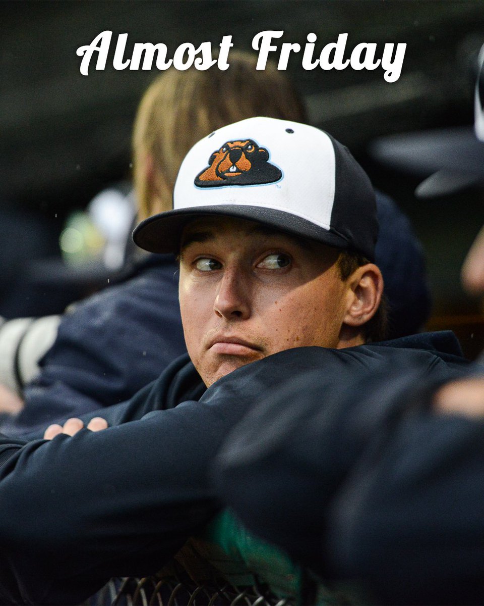 Wausau Woodchucks tweet media