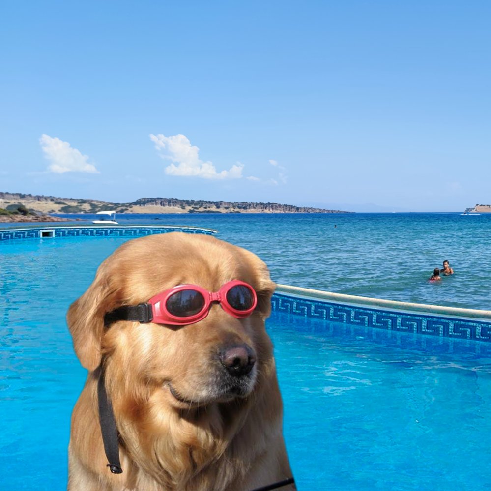 <a href="/_Vergelius/">vergelius.sol</a> buy the $dip