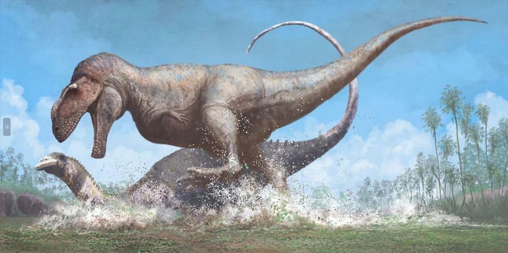 Taylor McCoy 🦖 (@tm9380) on Twitter photo Carcharodontosaurus, the largest terrestrial predator known from Africa, rivaled only by the sail backed Spinosaurus
Art by <a href="/MarkWitton/">Mark Witton</a> Carcharodontosaurus, the largest terrestrial predator known from Africa, rivaled only by the sail backed Spinosaurus
Art by <a href="/MarkWitton/">Mark Witton</a>